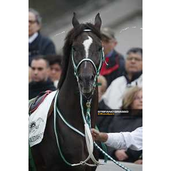Al Khalediah Cup Milano, San Siro racecourse 18 oct.2015 ph.Stefano Grasso
