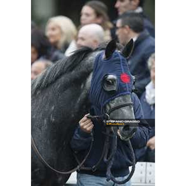 Al Khalediah Cup Milano, San Siro racecourse 18 oct.2015 ph.Stefano Grasso