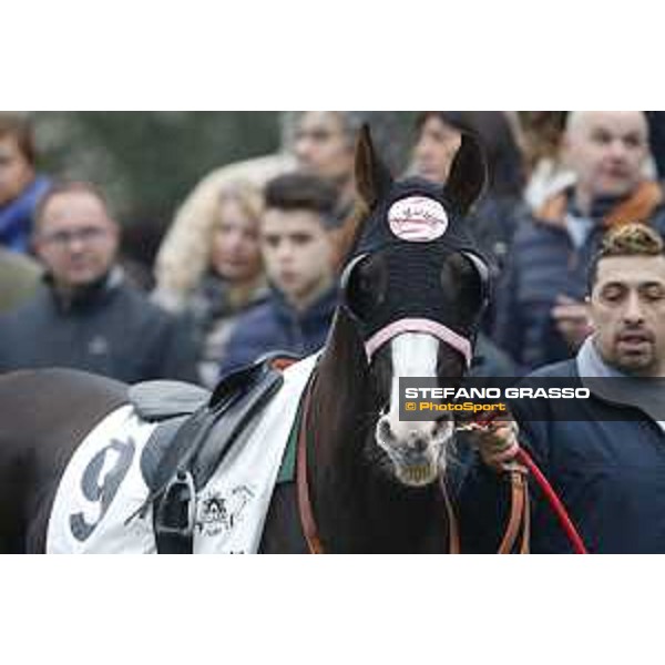 Al Khalediah Cup Milano, San Siro racecourse 18 oct.2015 ph.Stefano Grasso