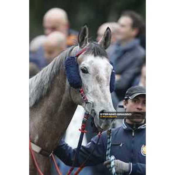 Al Khalediah Cup Milano, San Siro racecourse 18 oct.2015 ph.Stefano Grasso