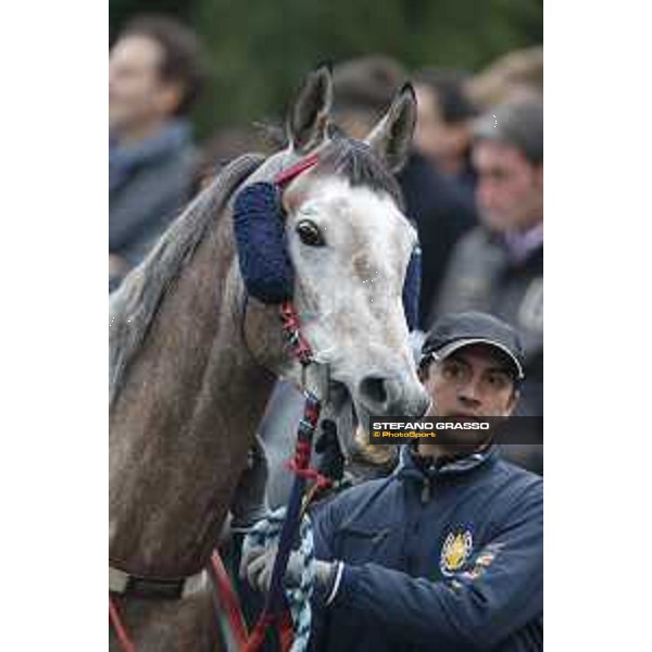 Al Khalediah Cup Milano, San Siro racecourse 18 oct.2015 ph.Stefano Grasso