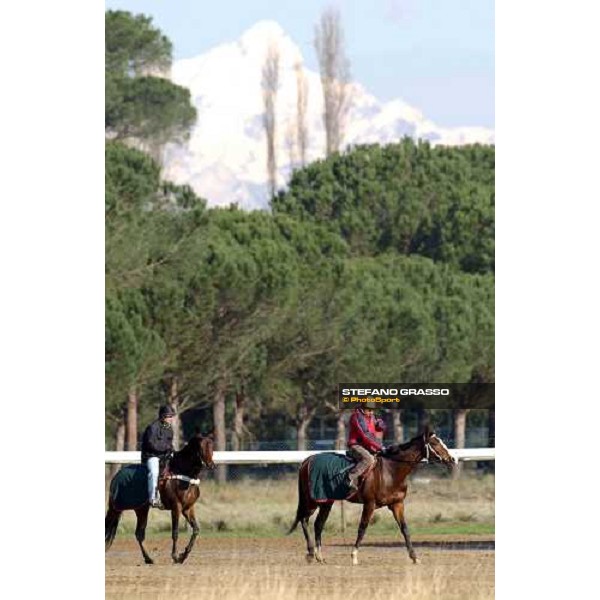 morning works at Pisa San Rossore march 11 2004 ph. Stefano Grasso