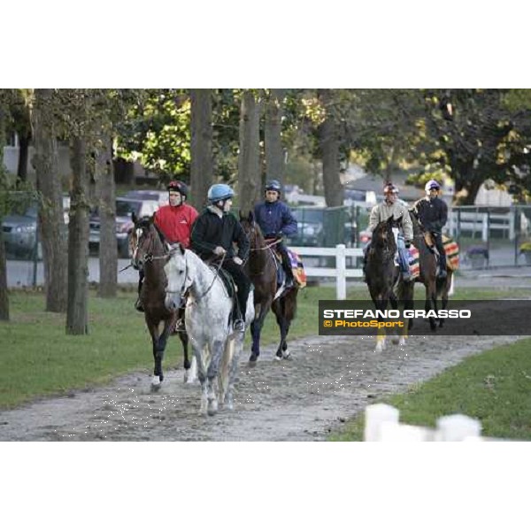 Valixir, Shirocco,and Whipper prepare for morning track works at Belmont Park - NY New York, 27th october 2005 ph. Stefano Grasso