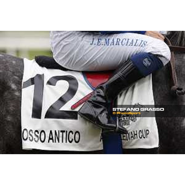 Al Khalediah Cup Milano, San Siro racecourse 18 oct.2015 ph.Stefano Grasso