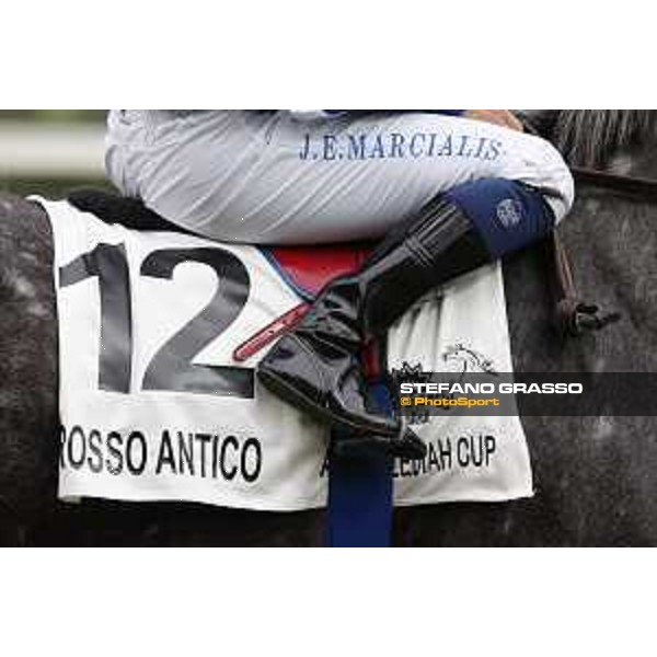 Al Khalediah Cup Milano, San Siro racecourse 18 oct.2015 ph.Stefano Grasso