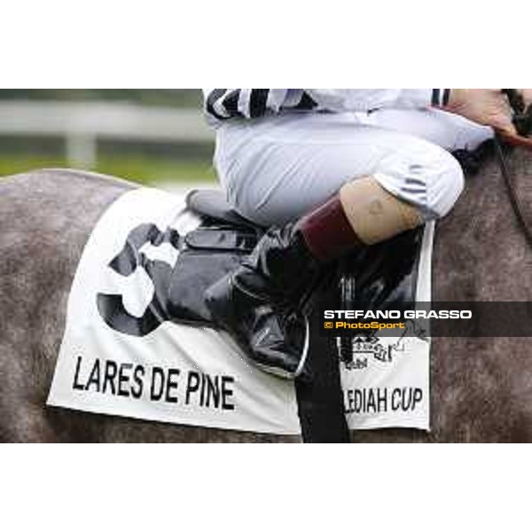 Al Khalediah Cup Milano, San Siro racecourse 18 oct.2015 ph.Stefano Grasso
