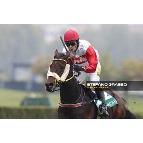 Josef Vana jr. and Chicago win the Gran Corsa Siepi di Milano Milano, San Siro racecourse 18 oct.2015 ph.Stefano Grasso