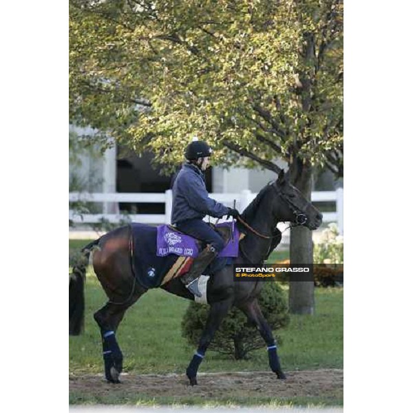 Oujia Board prepares for morning track works at Belmont Park - NY New York, 27th october 2005 ph. Stefano Grasso