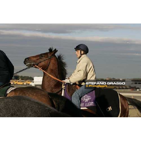 Sunset Alight going for morning track works at Belmont Park - NY New York, 27th october 2005 ph. Stefano Grasso