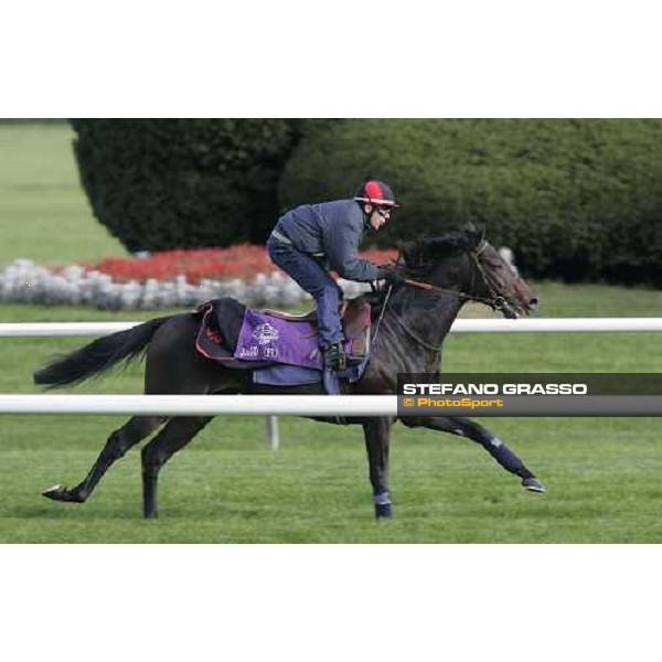 Thierry Gillet on Bago training on the turf at Belmont Park New York, 28th october 2005 ph. Stefano Grasso