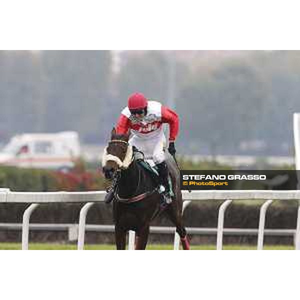 Josef Vana jr. and Chicago win the Gran Corsa Siepi di Milano Milano, San Siro racecourse 18 oct.2015 ph.Stefano Grasso