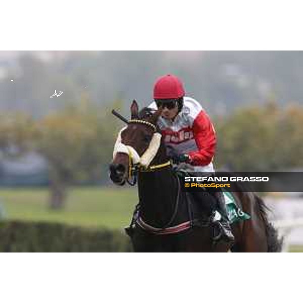 Josef Vana jr. and Chicago win the Gran Corsa Siepi di Milano Milano, San Siro racecourse 18 oct.2015 ph.Stefano Grasso