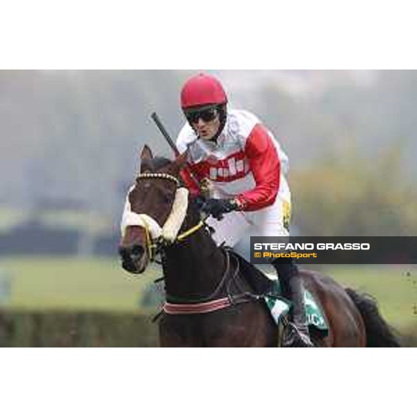 Josef Vana jr. and Chicago win the Gran Corsa Siepi di Milano Milano, San Siro racecourse 18 oct.2015 ph.Stefano Grasso