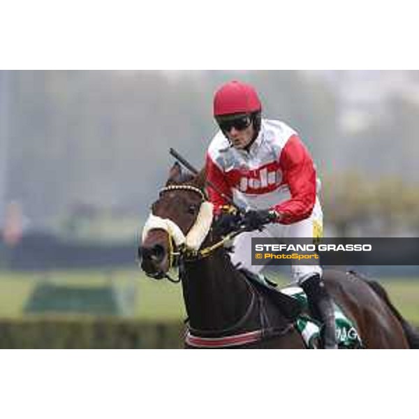 Josef Vana jr. and Chicago win the Gran Corsa Siepi di Milano Milano, San Siro racecourse 18 oct.2015 ph.Stefano Grasso
