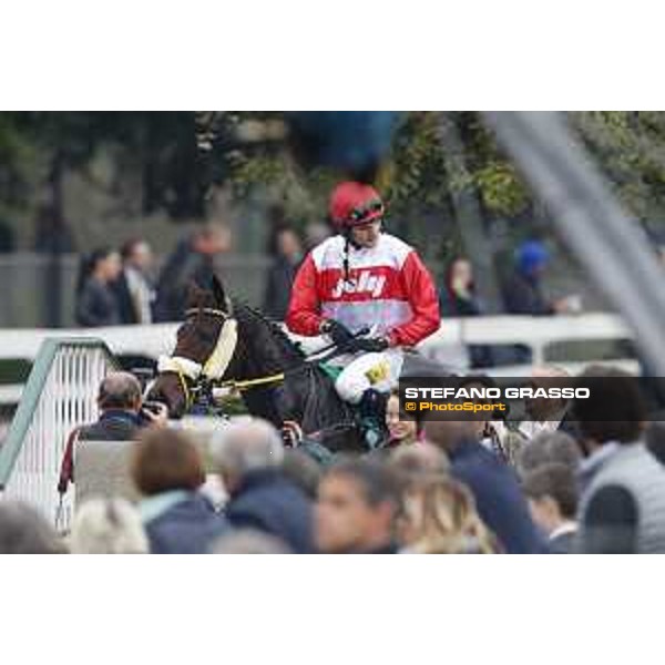 Josef Vana jr. and Chicago win the Gran Corsa Siepi di Milano Milano, San Siro racecourse 18 oct.2015 ph.Stefano Grasso