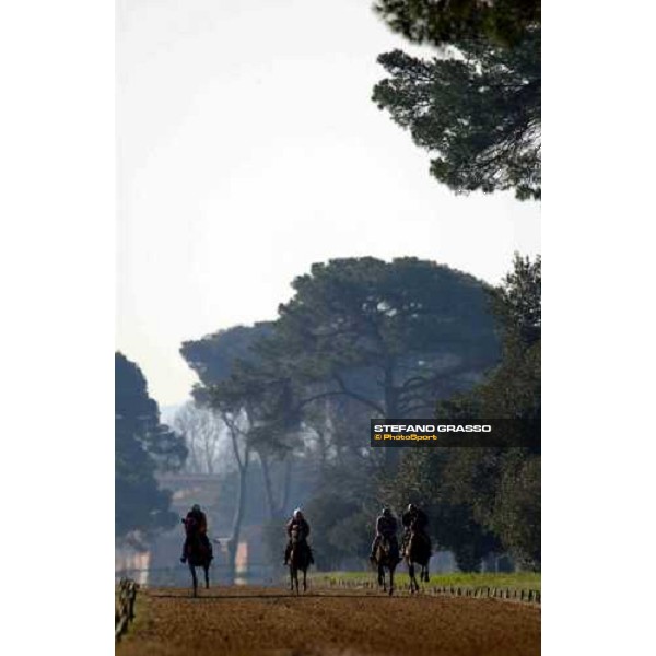 morning works at Pisa San Rossore march 11 2004 ph. Stefano Grasso