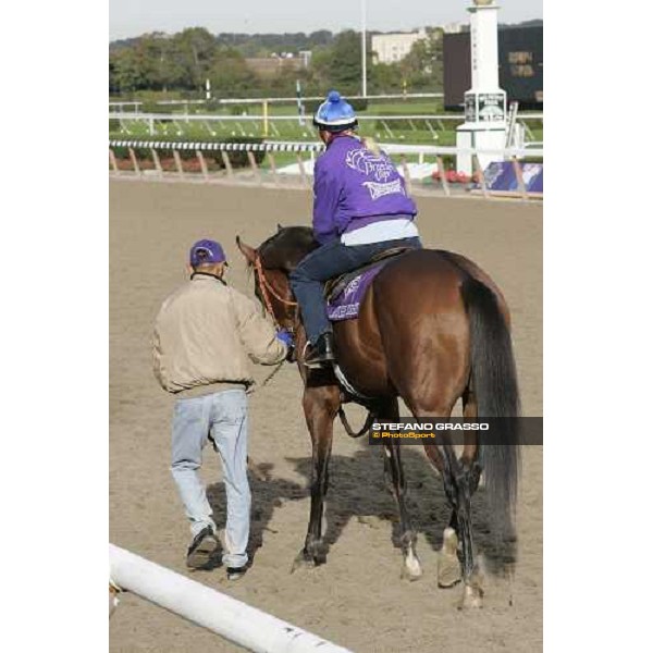 Brother Dereck after morning training at Belmont Park New York, 28th october 2005 ph. Stefano Grasso