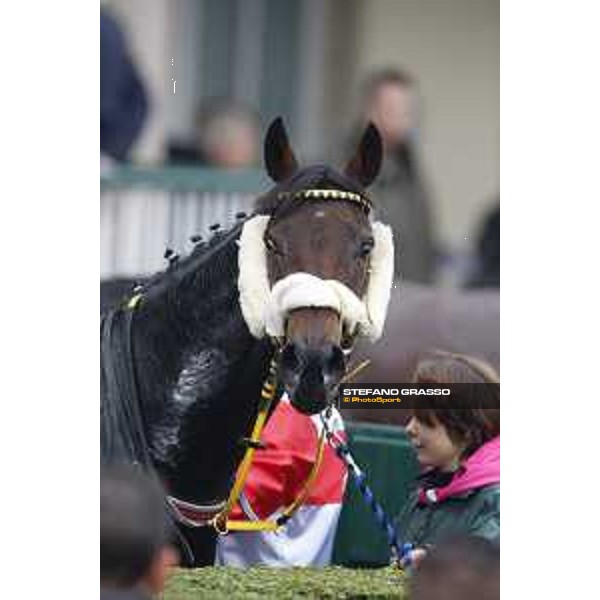 Josef Vana jr. and Chicago win the Gran Corsa Siepi di Milano Milano, San Siro racecourse 18 oct.2015 ph.Stefano Grasso