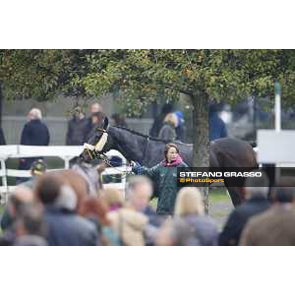 Josef Vana jr. and Chicago win the Gran Corsa Siepi di Milano Milano, San Siro racecourse 18 oct.2015 ph.Stefano Grasso