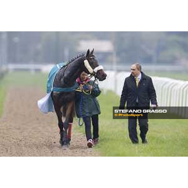 Josef Vana jr. and Chicago win the Gran Corsa Siepi di Milano Milano, San Siro racecourse 18 oct.2015 ph.Stefano Grasso