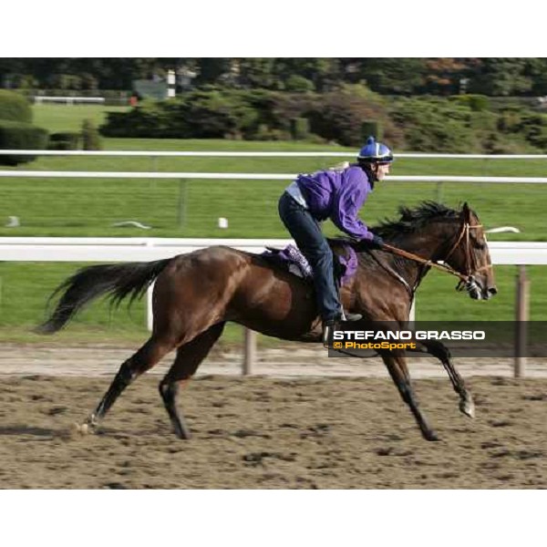 Brother Dereck during morning track works at Belmont Park New York, 28th october 2005 ph. Stefano Grasso