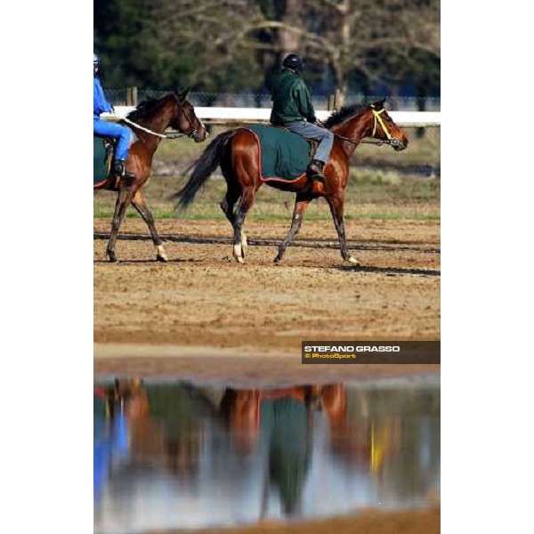 morning works at Pisa San Rossore march 11 2004 ph. Stefano Grasso