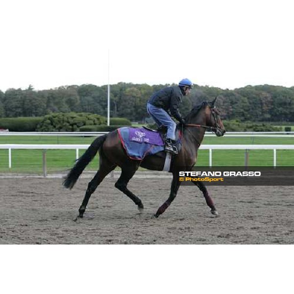 Mick Kinane on Azamour during morning track works at Belmont Park New York, 28th october 2005 ph. Stefano Grasso