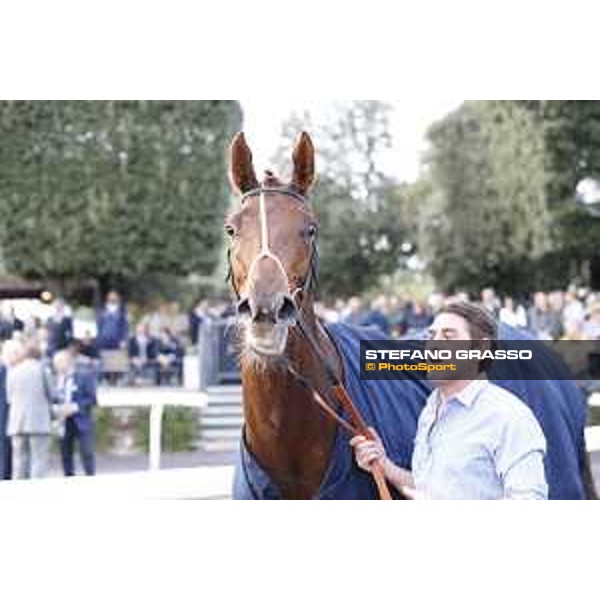 Odeliz winner of the Premio Longines Lydia Tesio Roma,Capannelle racecourse 25 october 2015 ph.Stefano Grasso/HippoGroup Roma Capannelle