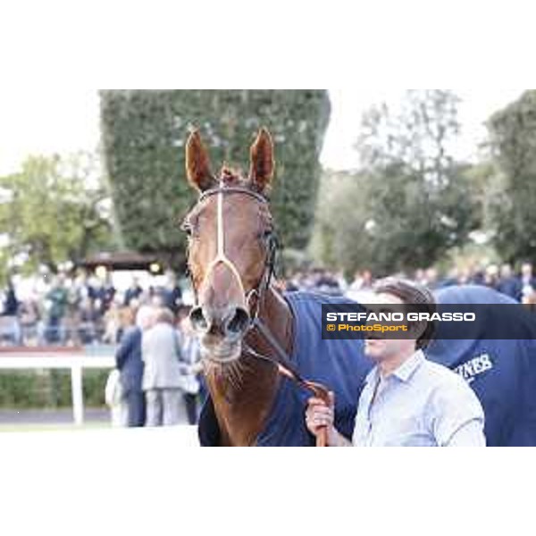 Odeliz winner of the Premio Longines Lydia Tesio Roma,Capannelle racecourse 25 october 2015 ph.Stefano Grasso/HippoGroup Roma Capannelle