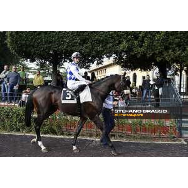 Umberto Rispoli and Kaspersky win the Premio Ribot Mem.Loreto Luciani Roma,Capannelle racecourse 25 october 2015 ph.Stefano Grasso/HippoGroup Roma Capannelle