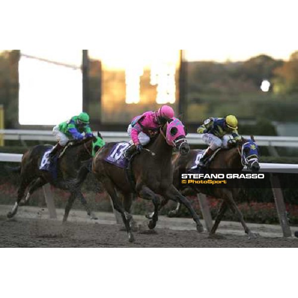 Jerry Bailey on Saint Liam wins the Breeders\' Cup Classic New York, 29th october 2005 ph. Stefano Grasso