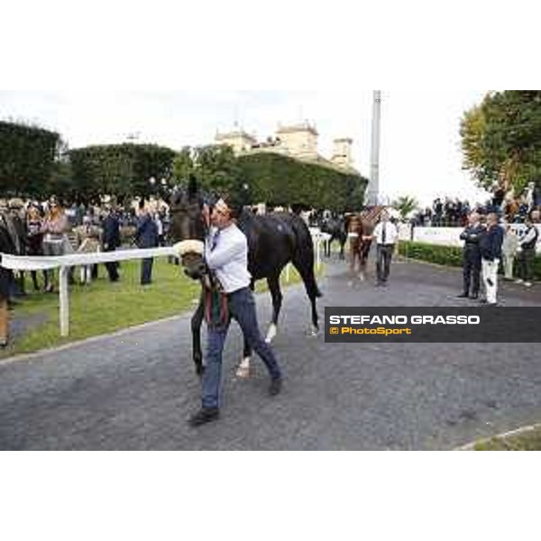 Kaspersky winner of the Premio Ribot Mem.Loreto Luciani Roma,Capannelle racecourse 25 october 2015 ph.Stefano Grasso/HippoGroup Roma Capannelle