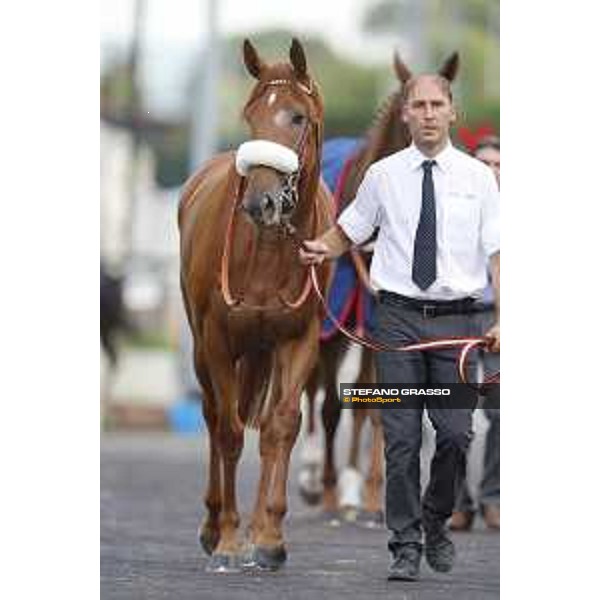 Sound of Freedom Premio Longines Lydia Tesio Roma,25/10/2015 ph.Stefano Grasso