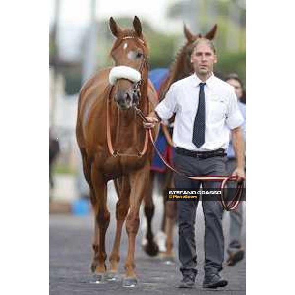 Sound of Freedom Premio Longines Lydia Tesio Roma,25/10/2015 ph.Stefano Grasso