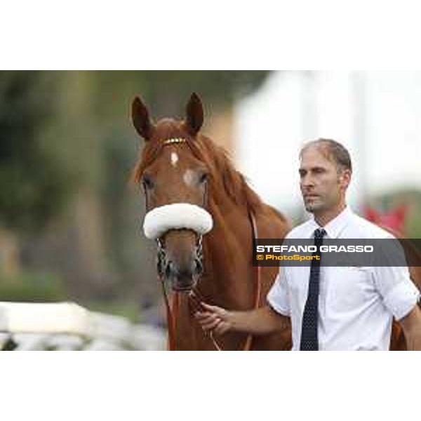 Sound of Freedom Premio Longines Lydia Tesio Roma,25/10/2015 ph.Stefano Grasso