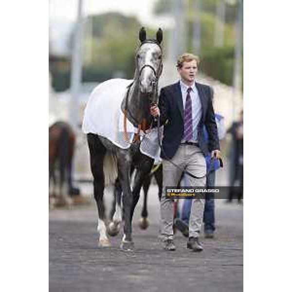 Victoria Regina Premio Longines Lydia Tesio Roma,25/10/2015 ph.Stefano Grasso