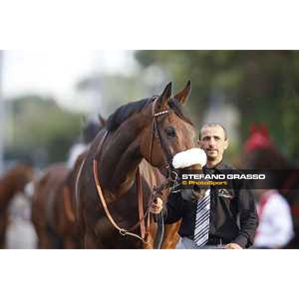 Reset in Blue Premio Longines Lydia Tesio Roma,25/10/2015 ph.Stefano Grasso