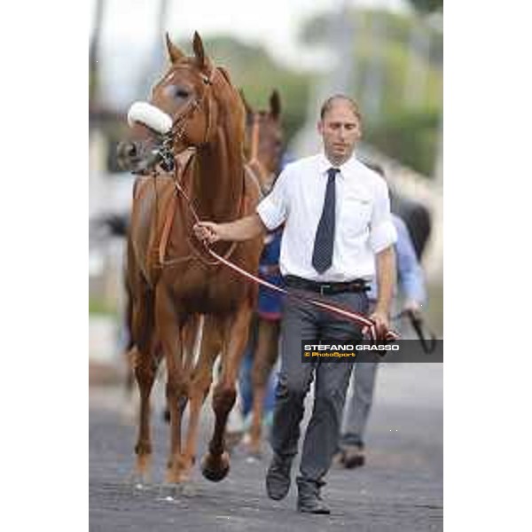 Sound of Freedom Premio Longines Lydia Tesio Roma,25/10/2015 ph.Stefano Grasso