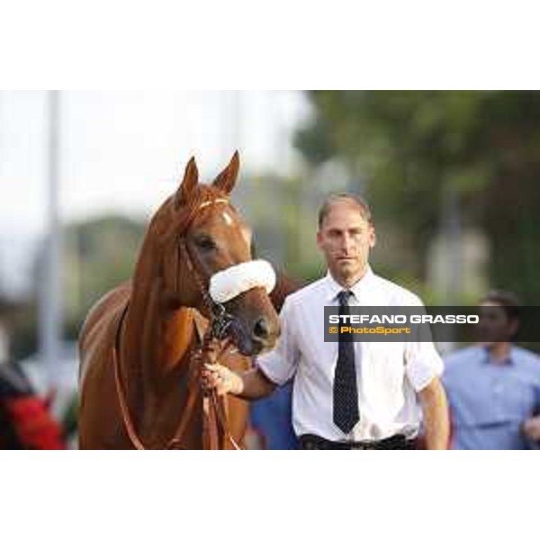Sound of Freedom Premio Longines Lydia Tesio Roma,25/10/2015 ph.Stefano Grasso