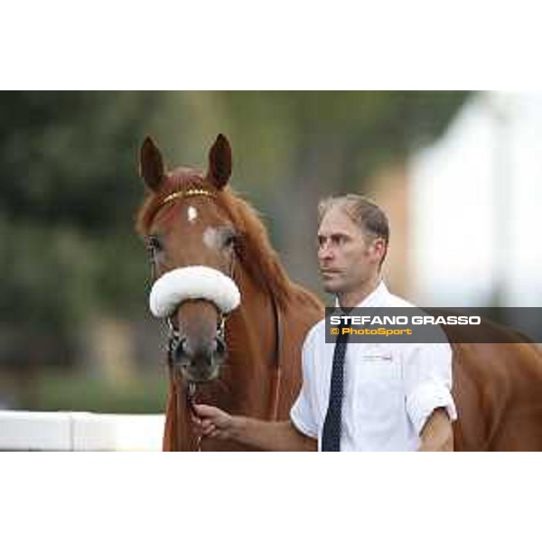 Sound of Freedom Premio Longines Lydia Tesio Roma,25/10/2015 ph.Stefano Grasso