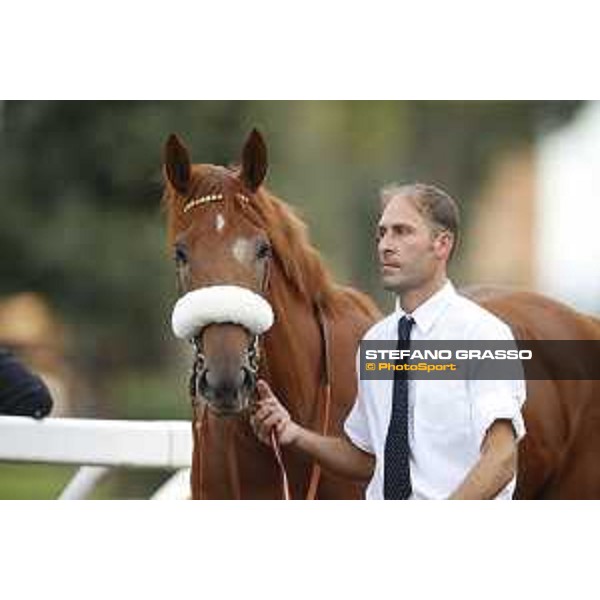 Sound of Freedom Premio Longines Lydia Tesio Roma,25/10/2015 ph.Stefano Grasso