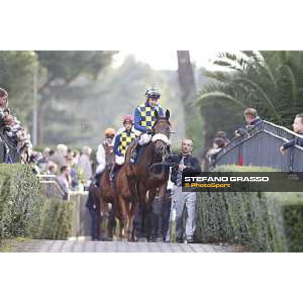 Carlo Fiocchi on Reset in Blue Premio Longines Lydia Tesio Roma,25/10/2015 ph.Stefano Grasso