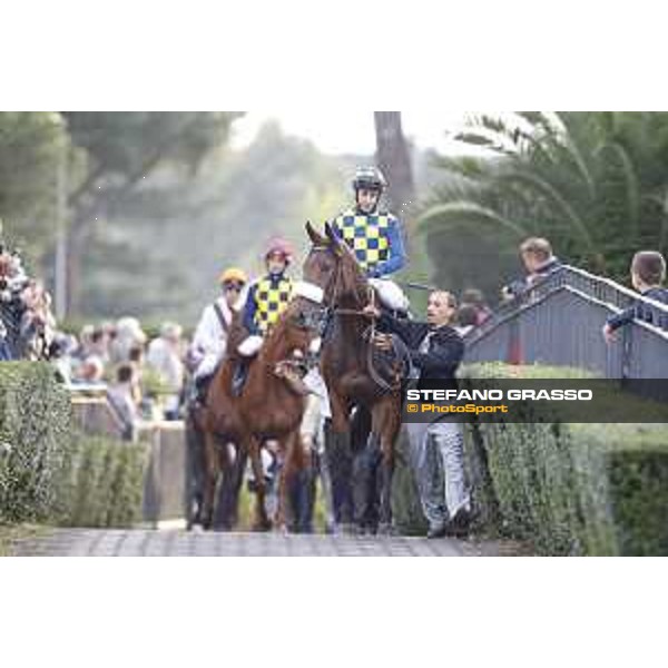 Carlo Fiocchi on Reset in Blue Premio Longines Lydia Tesio Roma,25/10/2015 ph.Stefano Grasso
