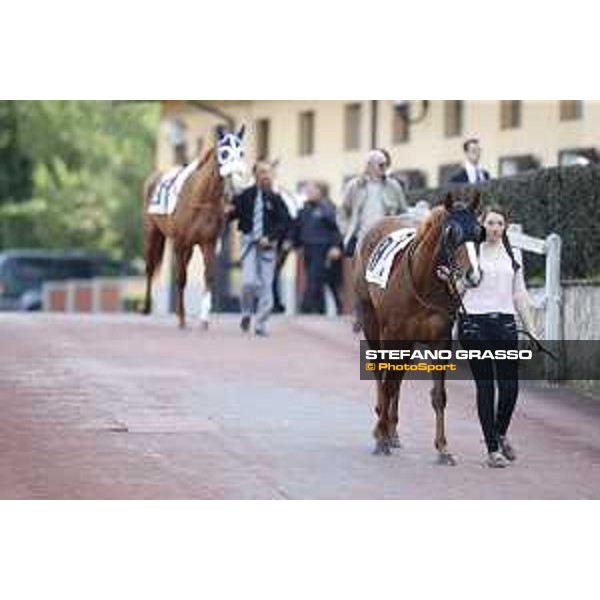 Shutterbug Premio Conte Felice Scheibler Roma,25/10/2015 ph.Stefano Grasso