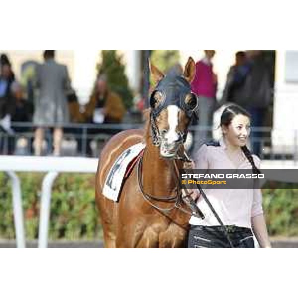 Shutterbug Premio Conte Felice Scheibler Roma,25/10/2015 ph.Stefano Grasso