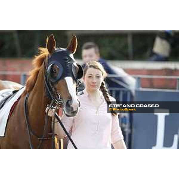 Shutterbug Premio Conte Felice Scheibler Roma,25/10/2015 ph.Stefano Grasso