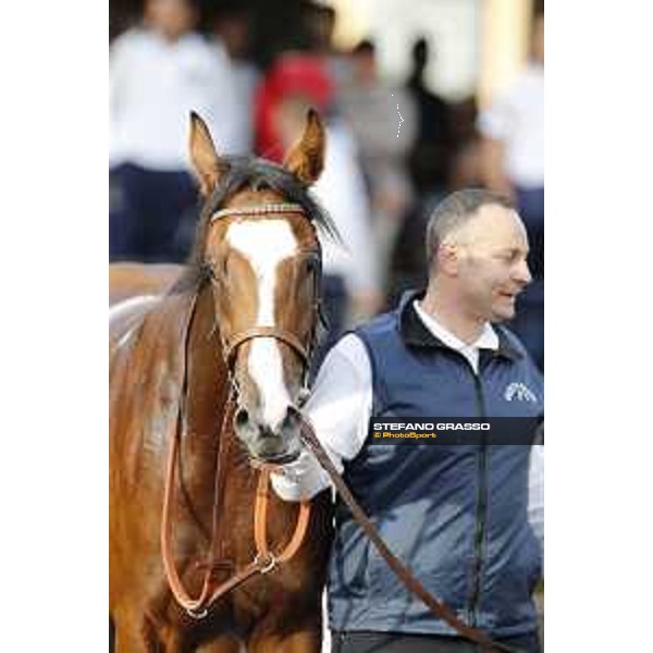 Aquila Solitaria winner of the Premio Ubaldo Pandolfi Roma,25/10/2015 ph.Stefano Grasso