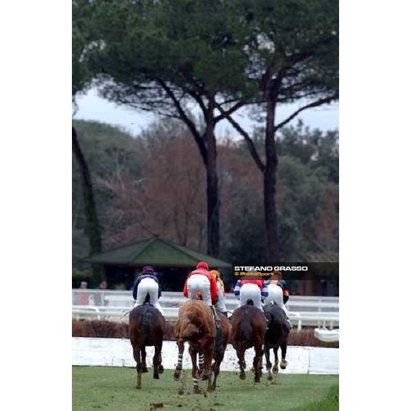Pisa San Rossore race track march 10 2004 ph.Stefano Grasso