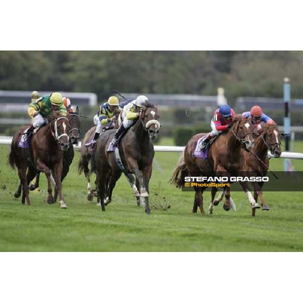 at last few meters to the winning post Garrett Gomez on Artie Schiller leads the group and win the Netjets Breeders\' Cup Mile New York, 29th october 2005 ph. Stefano Grasso