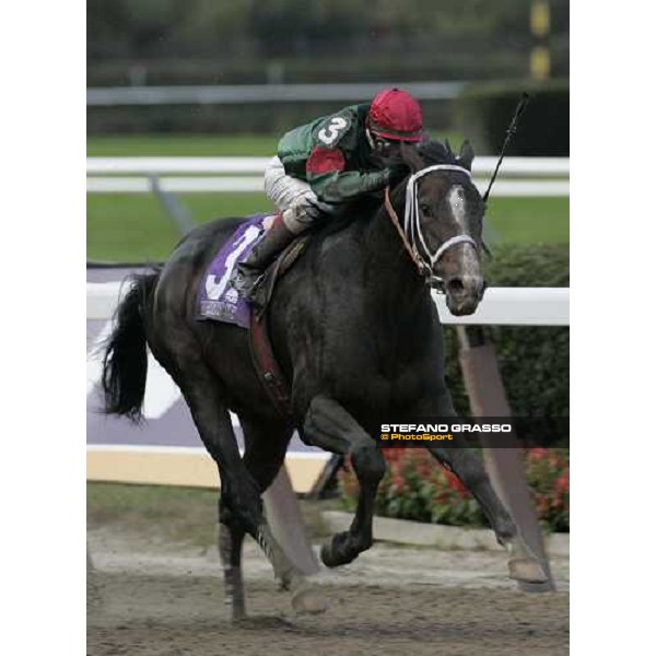 Edgar Prado on Silver Train wins TGV Breeders\' Cup Sprint New York, 29th october 2005 ph. Stefano Grasso